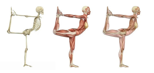 Advance your Asana - Workshop