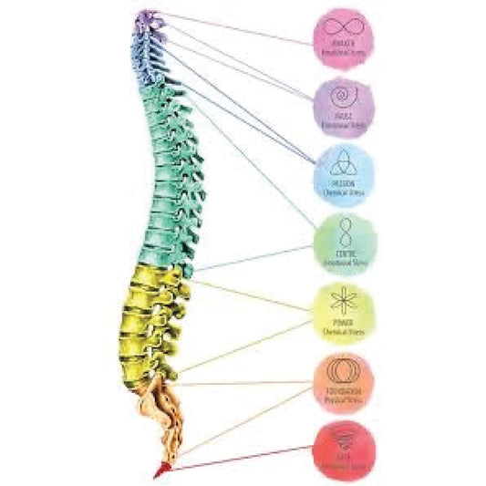 Spinal Flow - Free Assessment